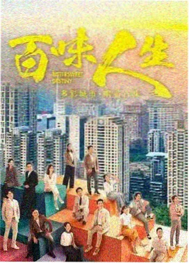 飘花影院电影免费观看《雾港档案》剧集海报